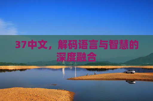 37中文,解码语言与智慧的深度融合 37中文,解码语言与智慧的深度融合