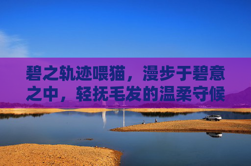碧之轨迹喂猫,漫步于碧意之中,轻抚毛发的温柔守候 碧之轨迹喂猫,漫步于碧意之中,轻抚毛发的温柔守候