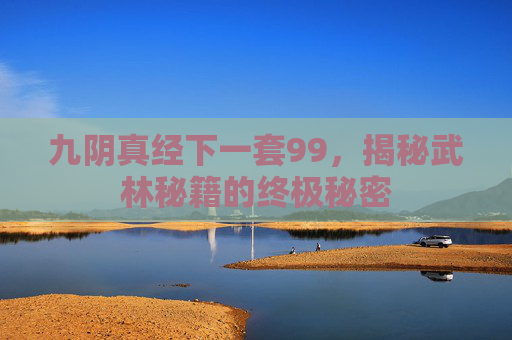 九阴真经下一套99，揭秘武林秘籍的终极秘密