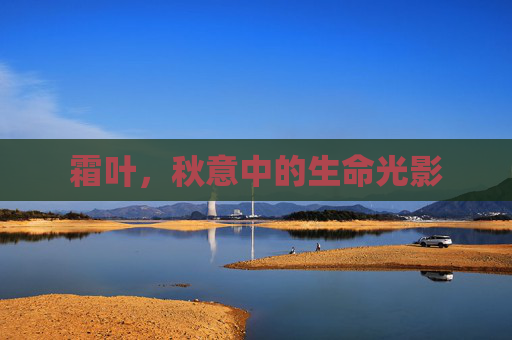 霜叶，秋意中的生命光影