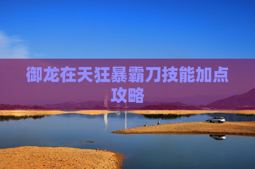 御龙在天狂暴霸刀技能加点攻略