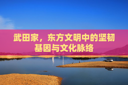 武田家,东方文明中的坚韧基因与文化脉络 武田家,东方文明中的坚韧基因与文化脉络