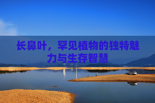 长鼻叶，罕见植物的独特魅力与生存智慧