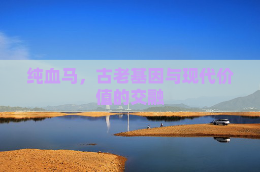 纯血马,古老基因与现代价值的交融 纯血马,古老基因与现代价值的交融