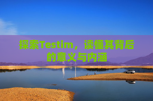 探索Testim，读懂其背后的意义与内涵