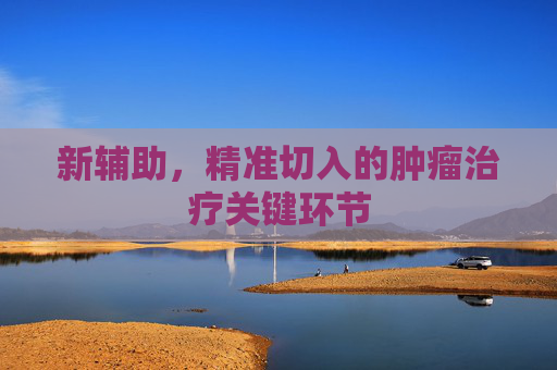 新辅助,精准切入的肿瘤治疗关键环节 新辅助,精准切入的肿瘤治疗关键环节