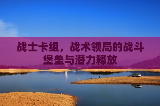 战士卡组，战术领局的战斗堡垒与潜力释放