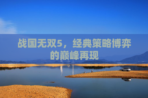 战国无双5,经典策略博弈的巅峰再现 战国无双5,经典策略博弈的巅峰再现