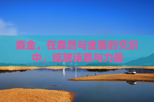 森金，在森然与金属的交织中，绽放诗意与力量