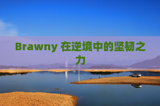 Brawny 在逆境中的坚韧之力