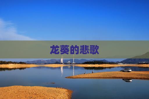 龙葵的悲歌 龙葵的悲歌