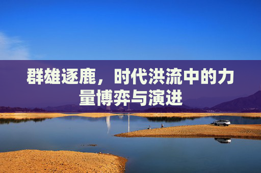 群雄逐鹿，时代洪流中的力量博弈与演进