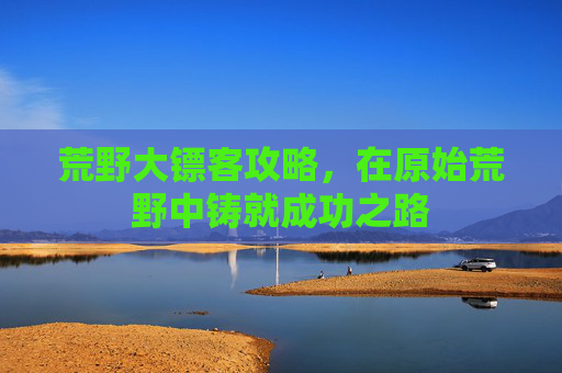 荒野大镖客攻略，在原始荒野中铸就成功之路