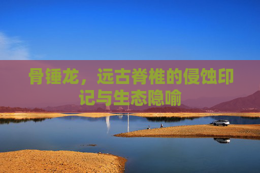 骨锤龙，远古脊椎的侵蚀印记与生态隐喻