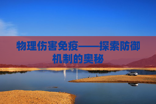 物理伤害免疫——探索防御机制的奥秘