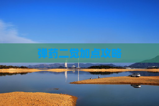 弹药二觉加点攻略