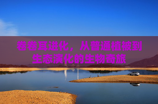 卷卷耳进化，从普通植被到生态演化的生物奇旅
