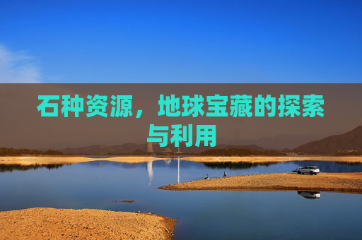 石种资源，地球宝藏的探索与利用