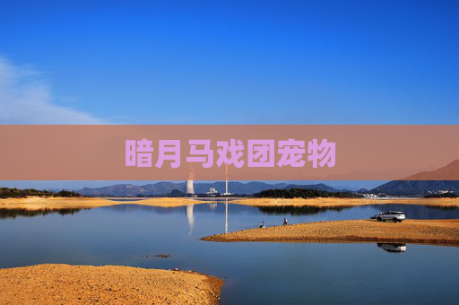 暗月马戏团宠物