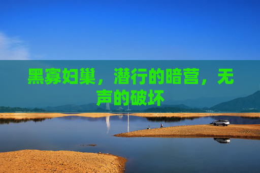 黑寡妇巢，潜行的暗营，无声的破坏