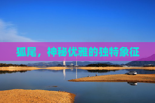 狐尾，神秘优雅的独特象征