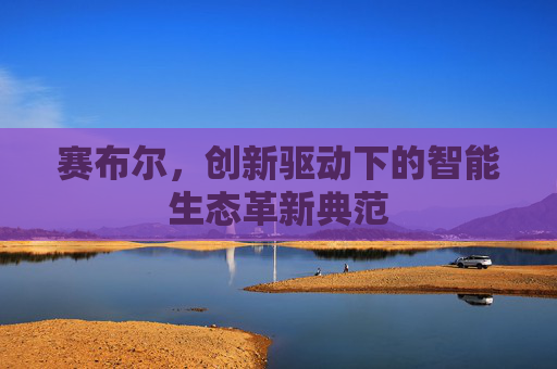 赛布尔，创新驱动下的智能生态革新典范
