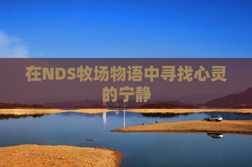 在NDS牧场物语中寻找心灵的宁静