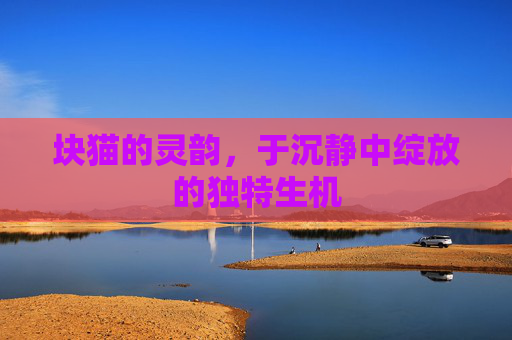 块猫的灵韵，于沉静中绽放的独特生机