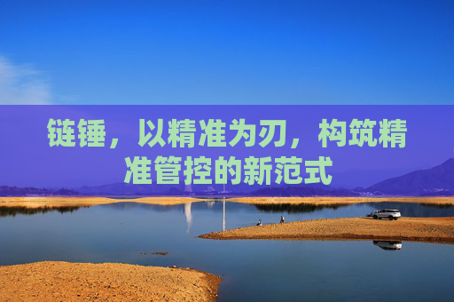 链锤，以精准为刃，构筑精准管控的新范式