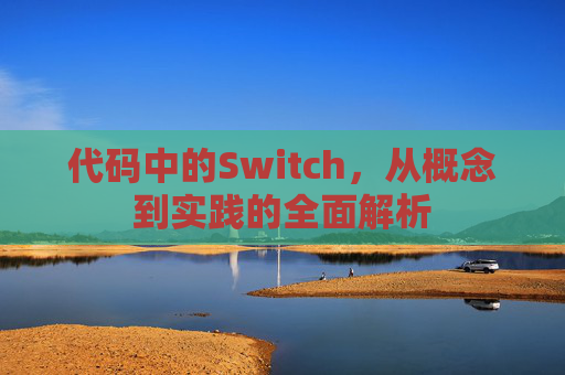 代码中的Switch，从概念到实践的全面解析