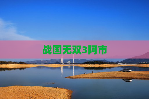 战国无双3阿市 战国无双3阿市