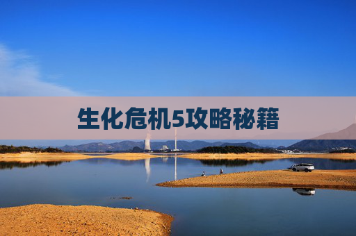 生化危机5攻略秘籍