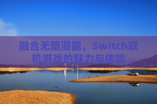 融合无限潜能，Switch联机游戏的魅力与体验