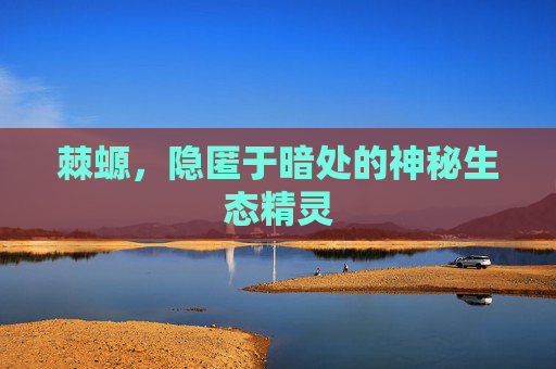 棘螈，隐匿于暗处的神秘生态精灵