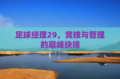 足球经理29,竞技与管理的巅峰抉择 足球经理29,竞技与管理的巅峰抉择