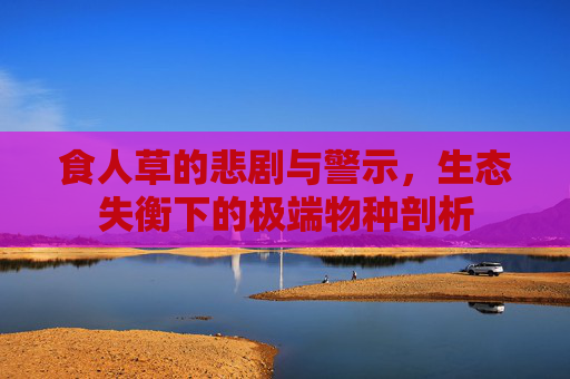 食人草的悲剧与警示，生态失衡下的极端物种剖析