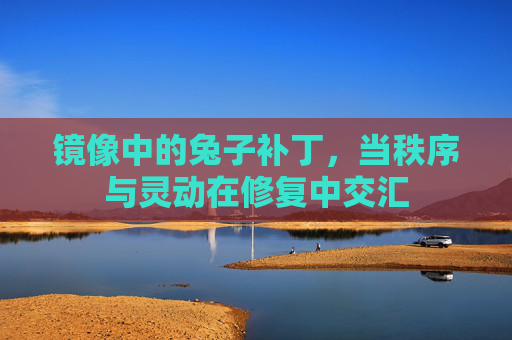 镜像中的兔子补丁,当秩序与灵动在修复中交汇 镜像中的兔子补丁,当秩序与灵动在修复中交汇
