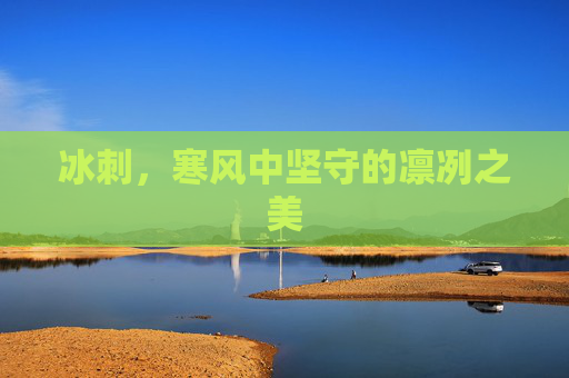 冰刺,寒风中坚守的凛冽之美 冰刺,寒风中坚守的凛冽之美