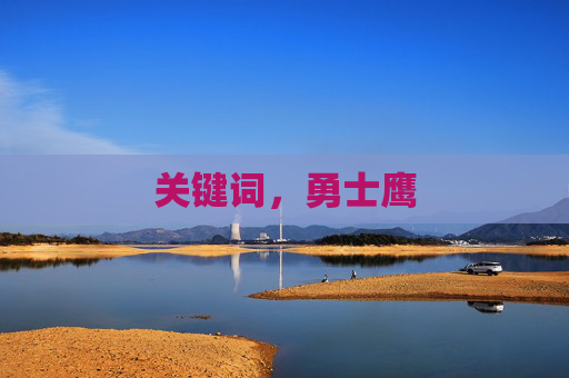 关键词，勇士鹰
