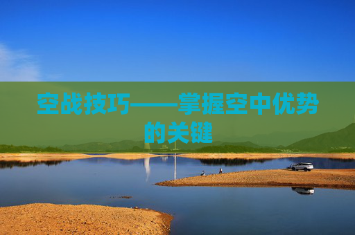 空战技巧——掌握空中优势的关键