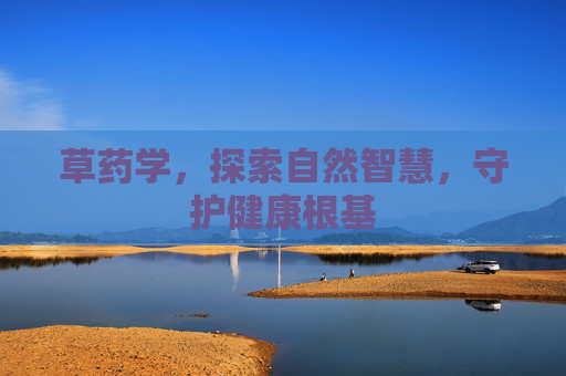 草药学，探索自然智慧，守护健康根基