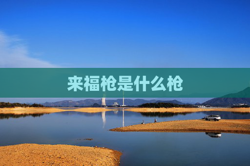 来福枪是什么枪