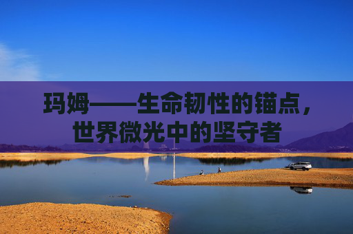 玛姆——生命韧性的锚点，世界微光中的坚守者
