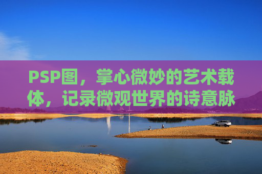 PSP图,掌心微妙的艺术载体,记录微观世界的诗意脉络 PSP图,掌心微妙的艺术载体,记录微观世界的诗意脉络