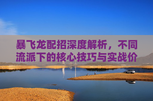暴飞龙配招深度解析，不同流派下的核心技巧与实战价值
