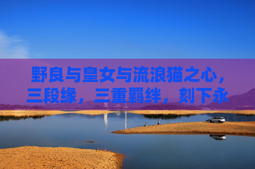 野良与皇女与流浪猫之心，三段缘，三重羁绊，刻下永恒羁绊