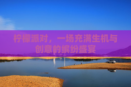 柠檬派对,一场充满生机与创意的缤纷盛宴 柠檬派对,一场充满生机与创意的缤纷盛宴