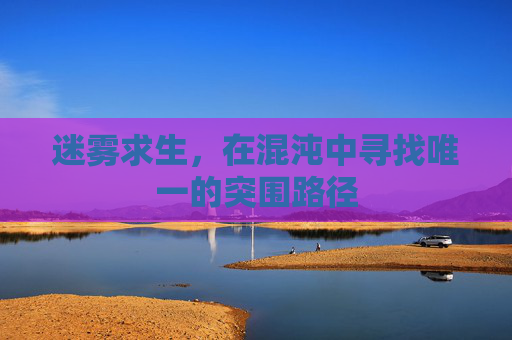 迷雾求生，在混沌中寻找唯一的突围路径