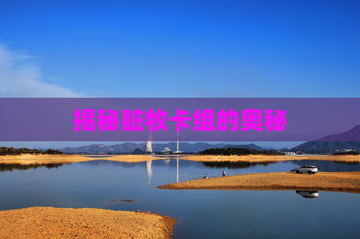 揭秘脏牧卡组的奥秘