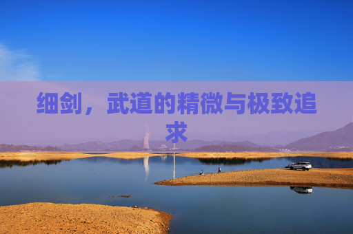 细剑,武道的精微与极致追求 细剑,武道的精微与极致追求